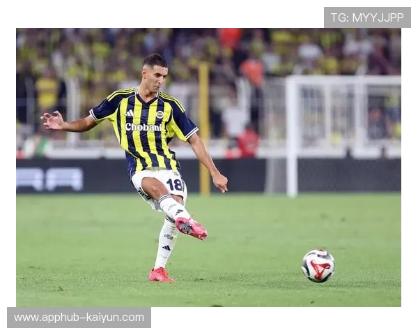 奥萨苏纳主场迎战黄潜，伤病潮影响阵容